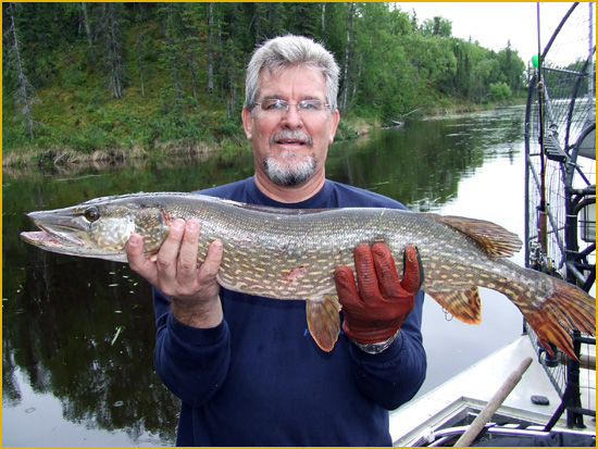 Northern Pike